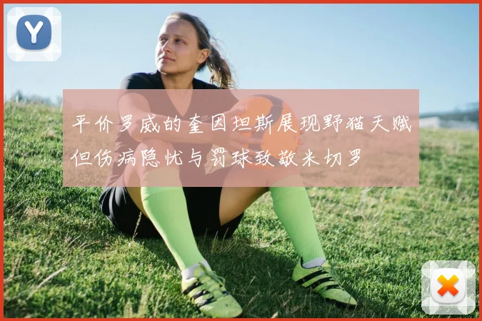 平价罗威的奎因坦斯展现野猫天赋但伤病隐忧与罚球致敬米切罗