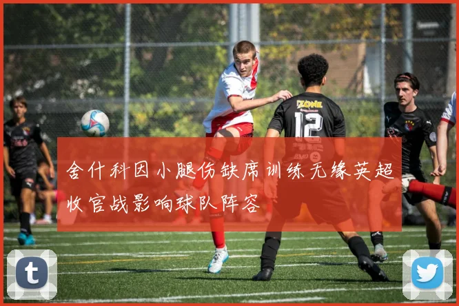 舍什科因小腿伤缺席训练无缘英超收官战影响球队阵容